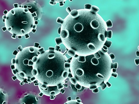 Das Coronavirus verhindert den Saisonstart